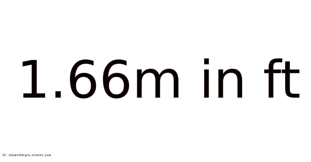 1.66m In Ft