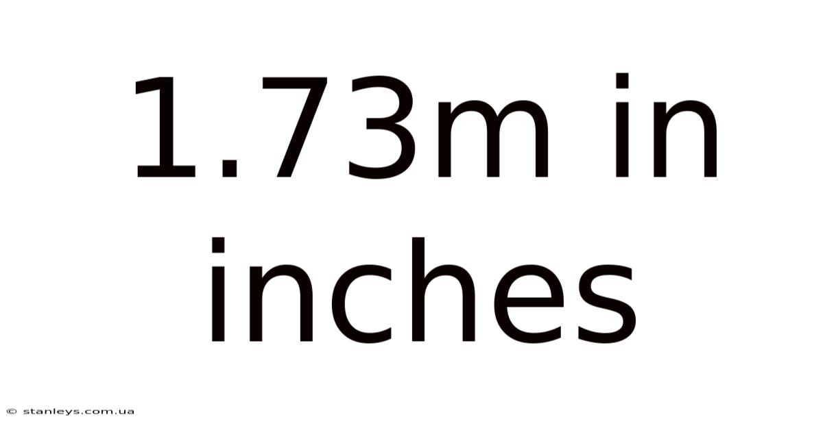 1.73m In Inches