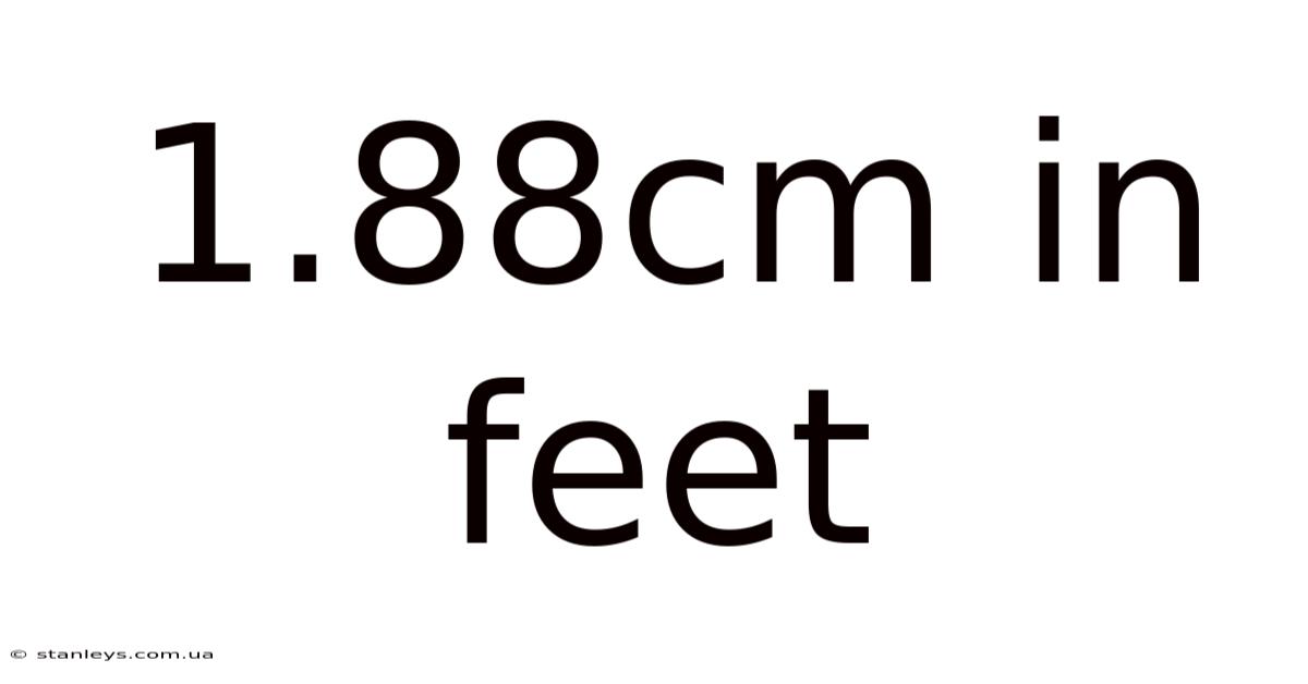 1.88cm In Feet