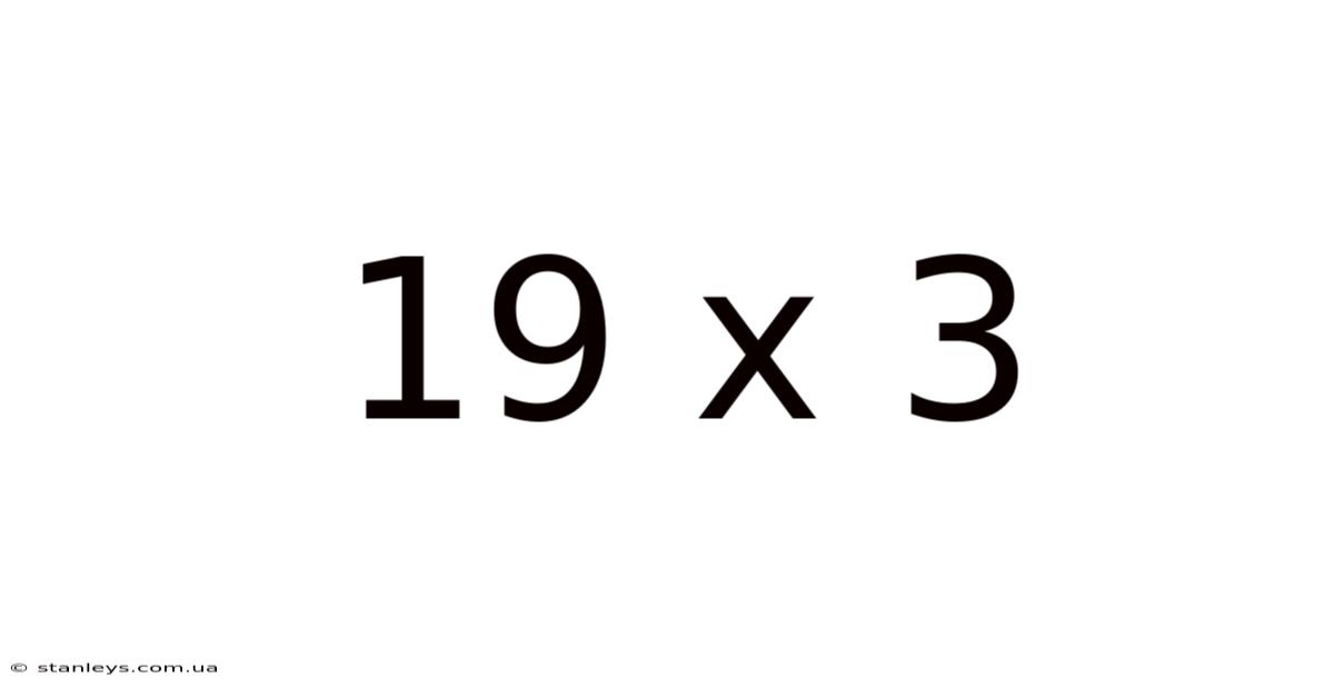 19 X 3