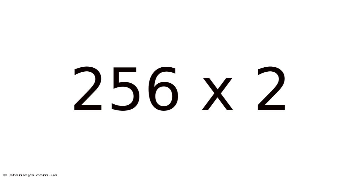 256 X 2
