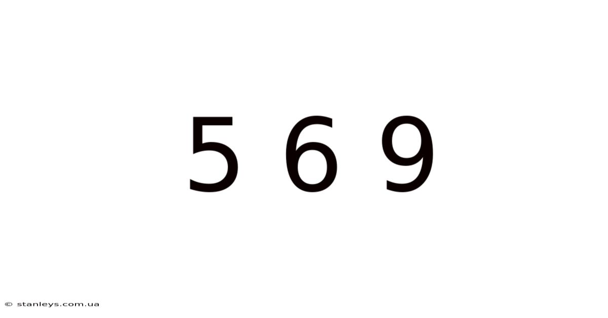 5 6 9