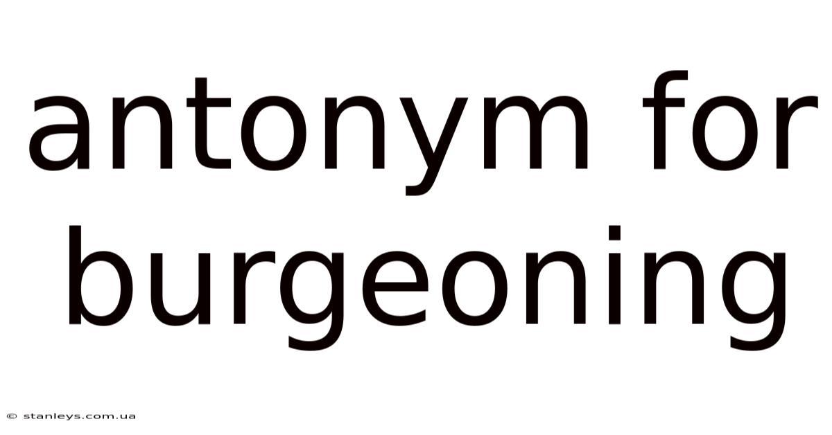 Antonym For Burgeoning