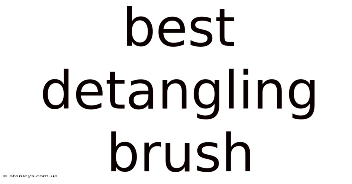 Best Detangling Brush