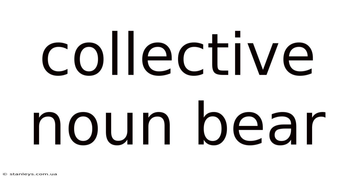 Collective Noun Bear