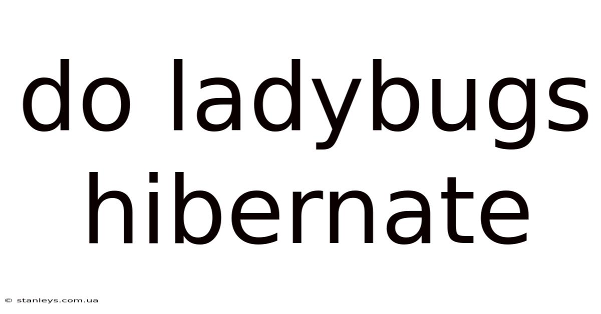 Do Ladybugs Hibernate