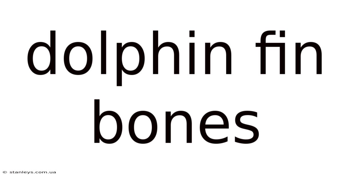 Dolphin Fin Bones