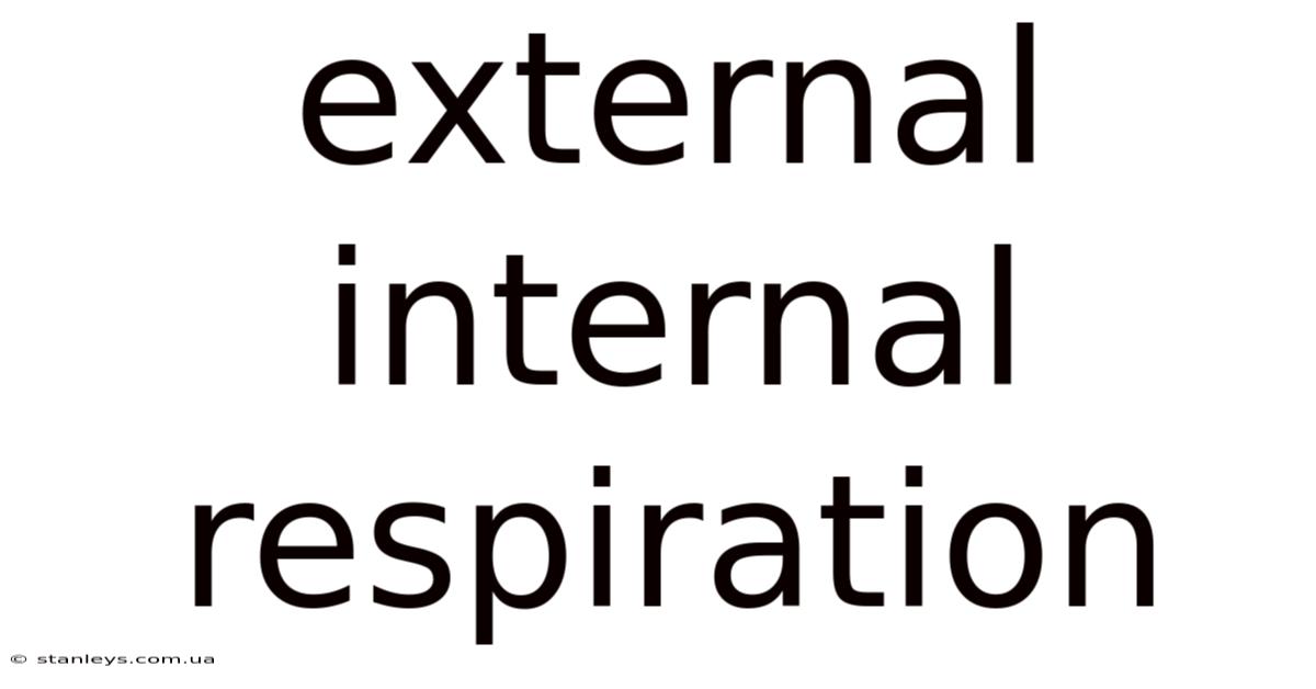 External Internal Respiration