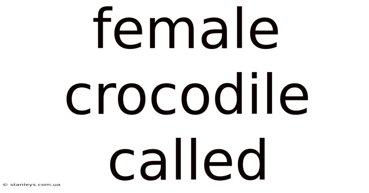 Female Crocodile Called