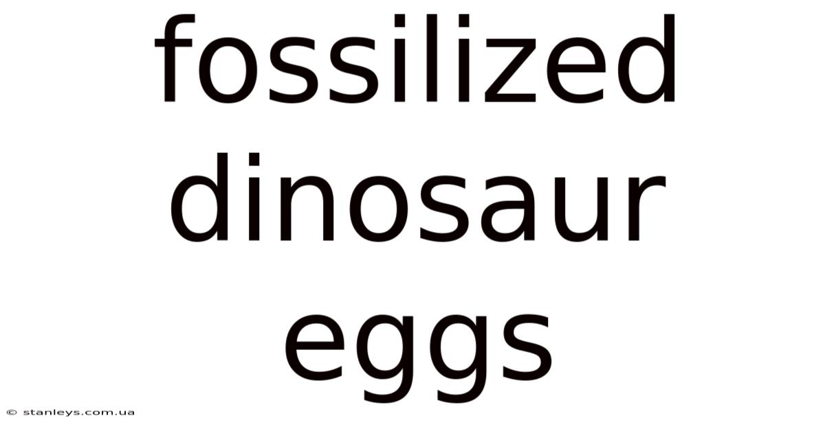 Fossilized Dinosaur Eggs