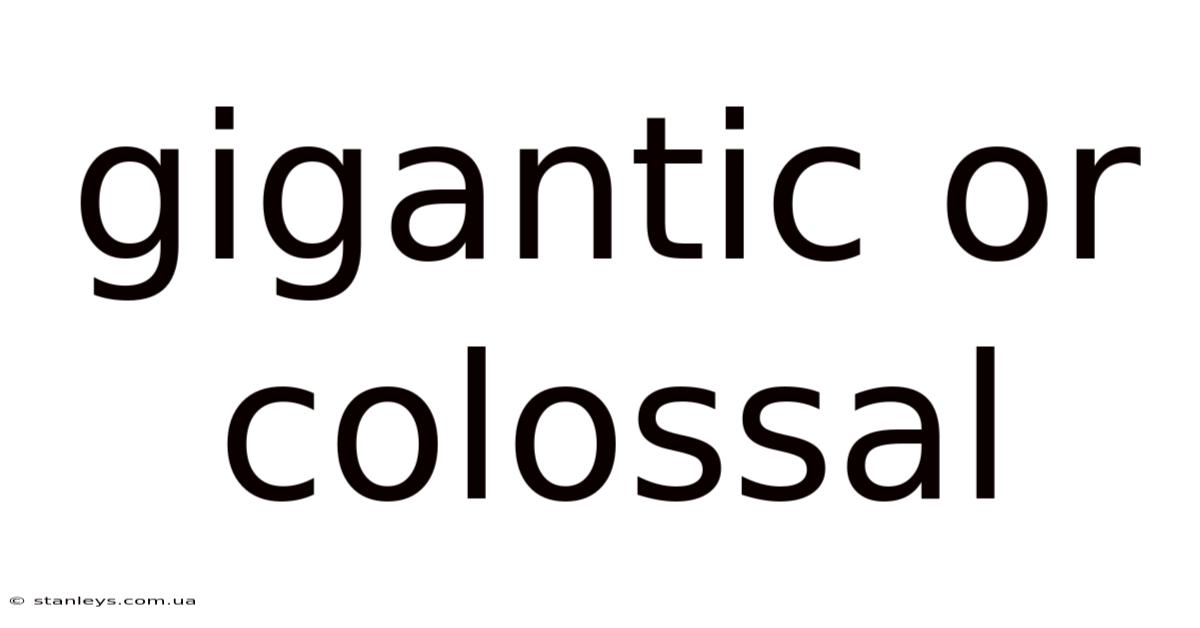 Gigantic Or Colossal