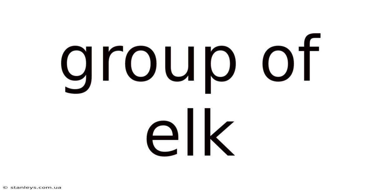 Group Of Elk