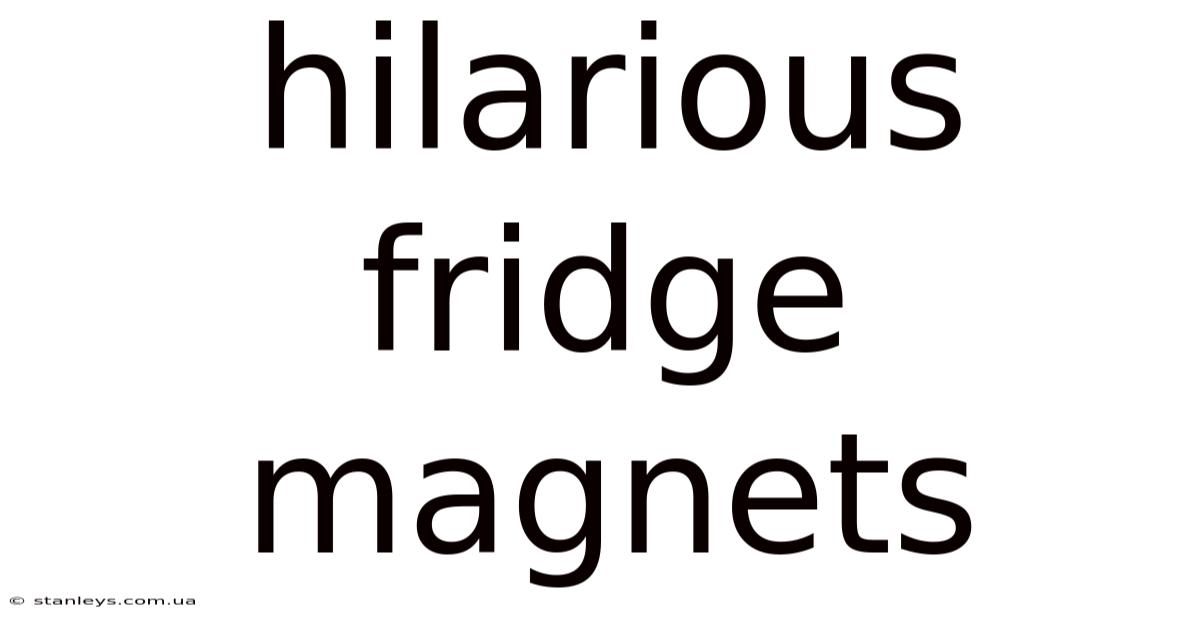 Hilarious Fridge Magnets