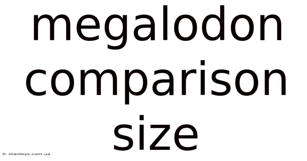 Megalodon Comparison Size