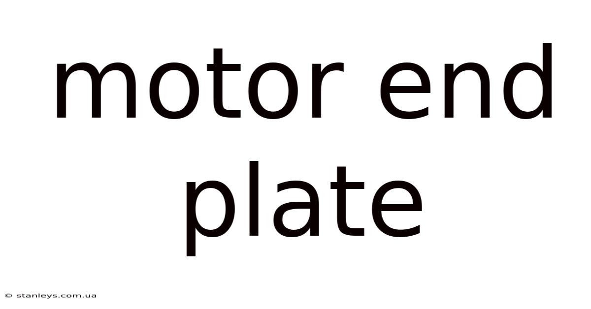 Motor End Plate