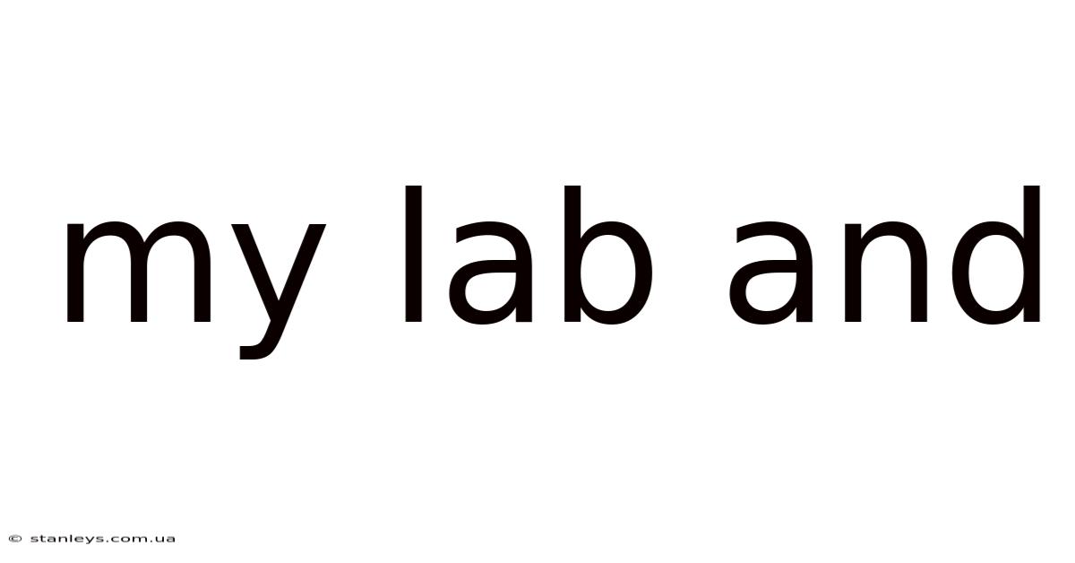 My Lab And