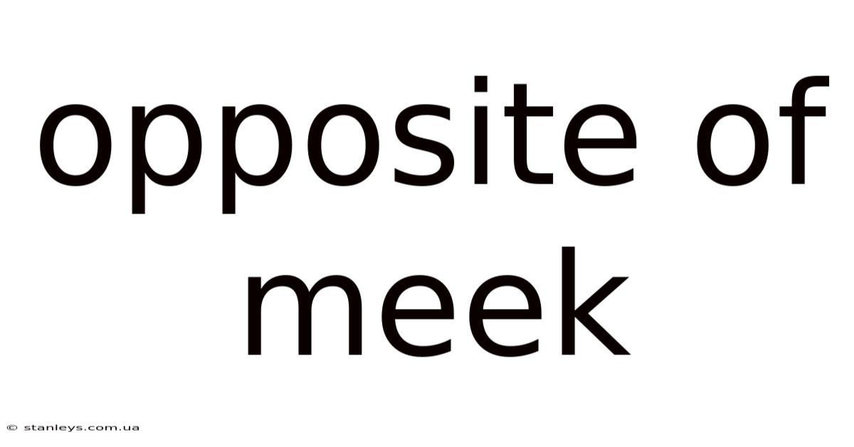 Opposite Of Meek