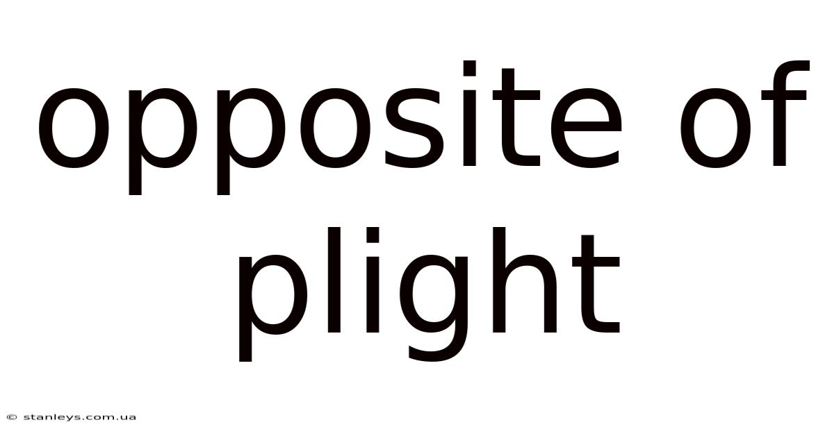 Opposite Of Plight