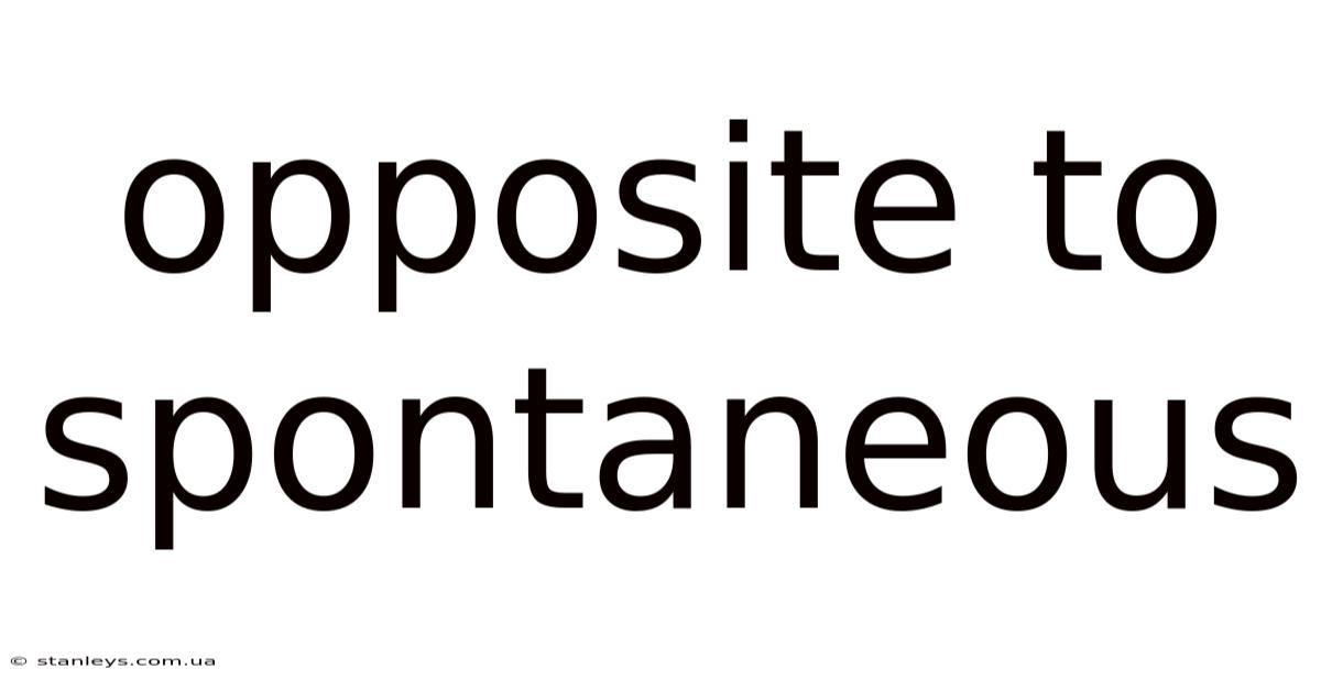 Opposite To Spontaneous