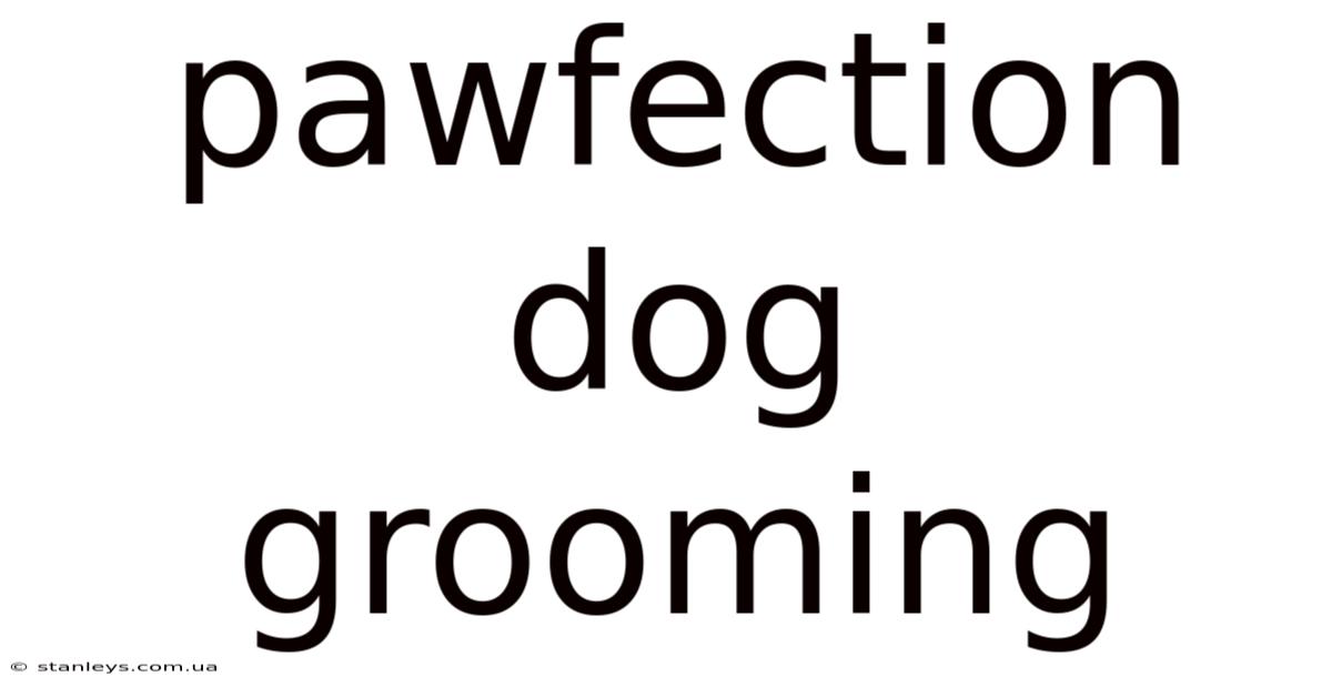 Pawfection Dog Grooming