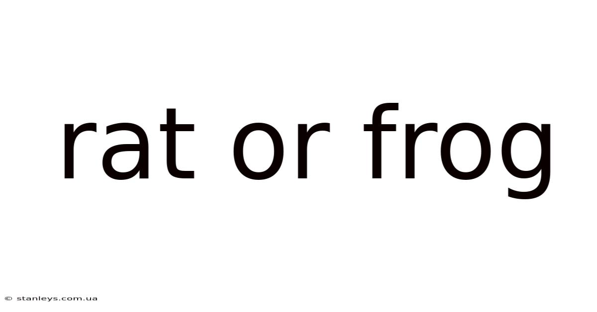 Rat Or Frog