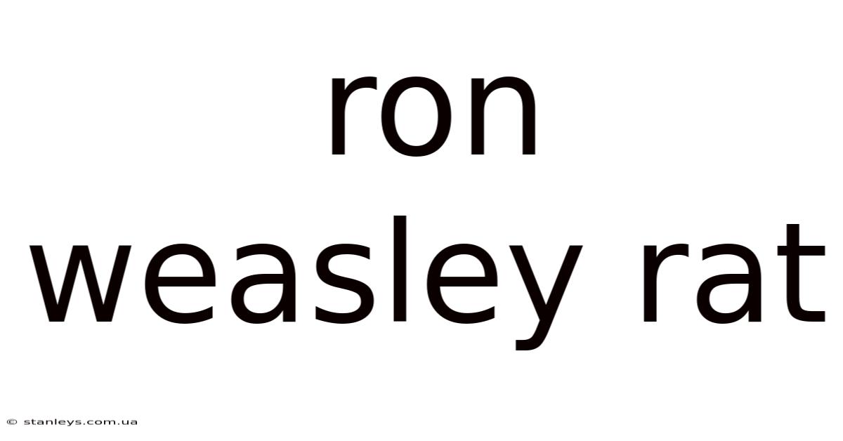 Ron Weasley Rat