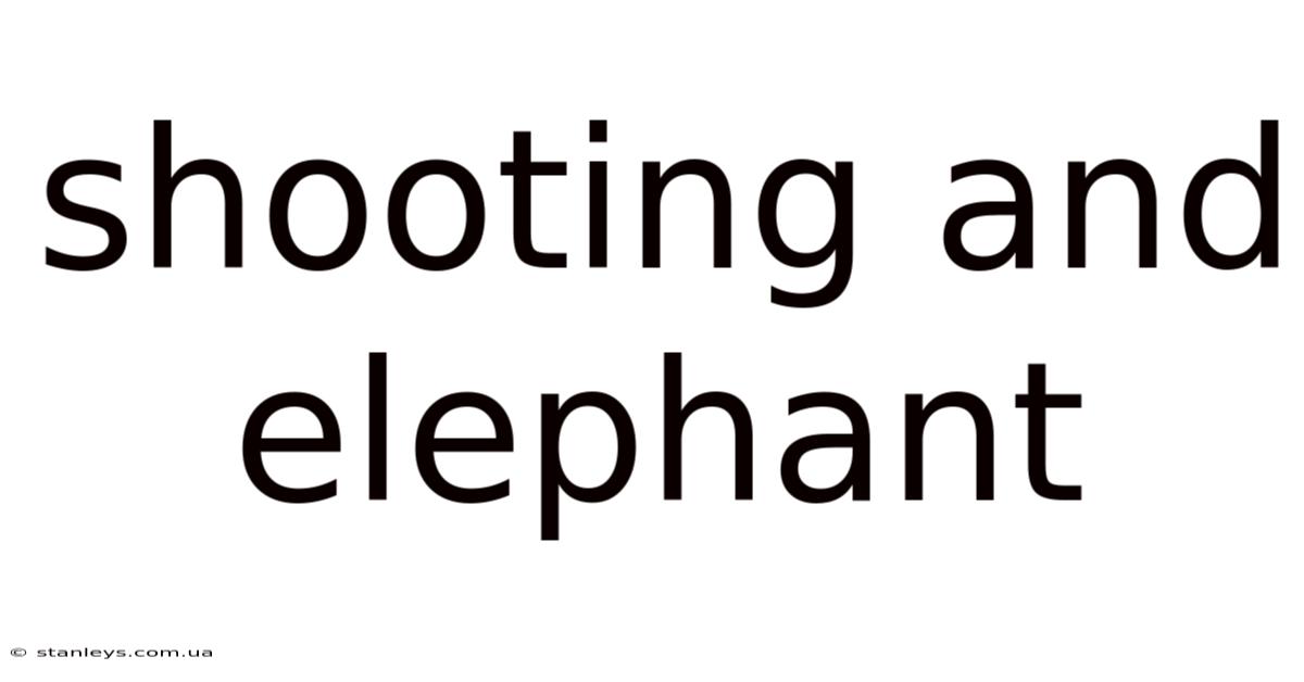 Shooting And Elephant