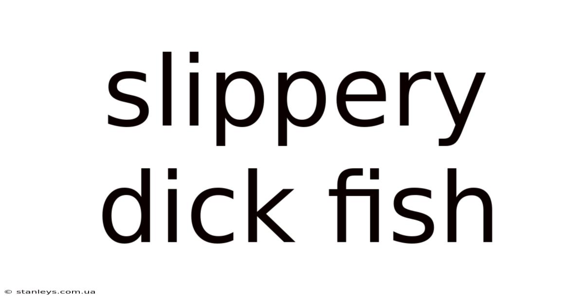 Slippery Dick Fish