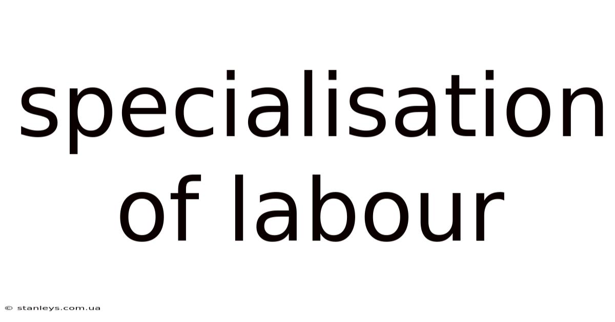 Specialisation Of Labour
