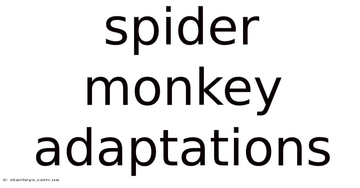 Spider Monkey Adaptations