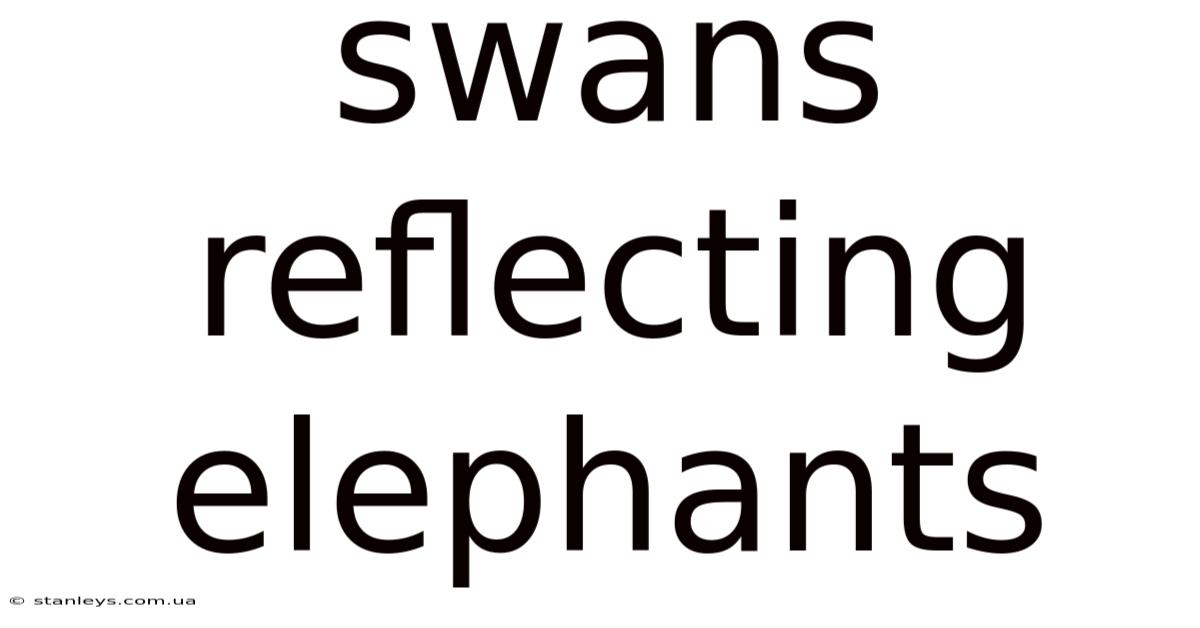 Swans Reflecting Elephants