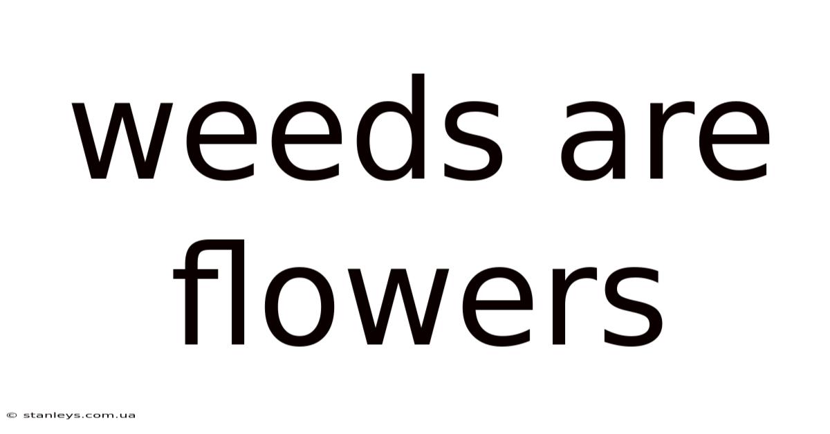 Weeds Are Flowers