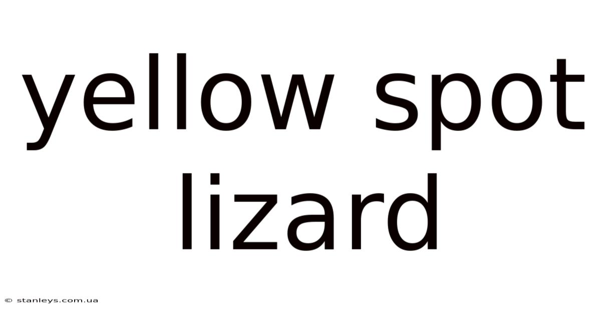 Yellow Spot Lizard